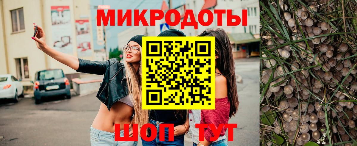 Псилоцибиновые грибы Cubensis Медногорск